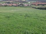 Terreno agricolo di 10 ettari con ovile in Sassari Nurra localita